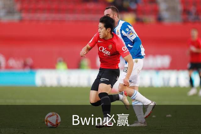 Bwin必赢公司介绍图片